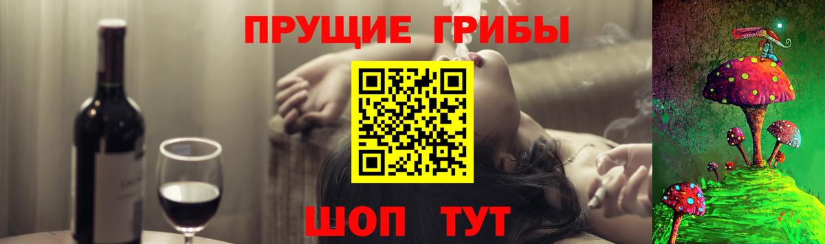 Кинель  Галлюциногенные грибы мухоморы  Вход с VPN 