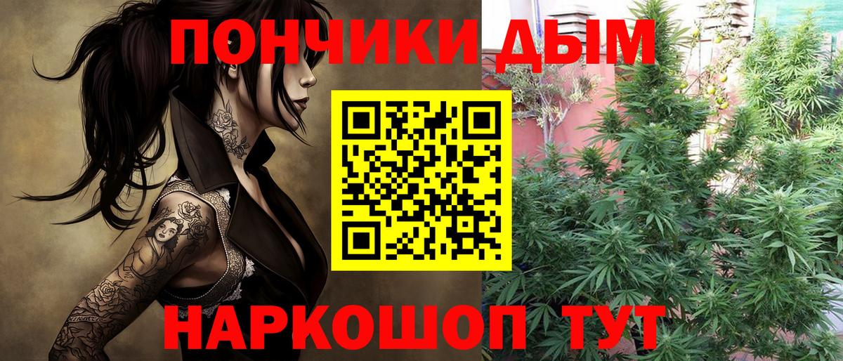 Каннабис THC 21%  Вход с VPN  Бошки Шишки конопля  Кинель  Бошки марихуана конопля  Каннабис семена 